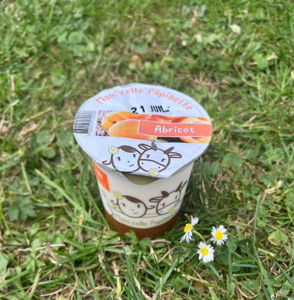 BRASSE SUR LIT DE FRUIT : ABRICOT